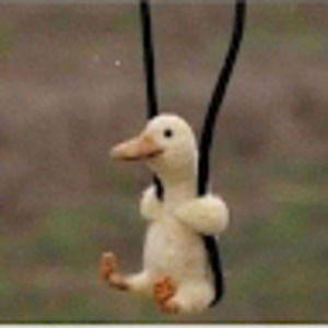 Meet your Posher, Daniela